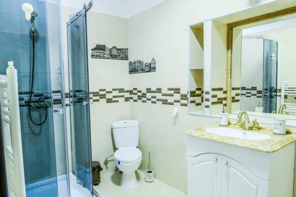 Mary Apartment Old Town ブラショフ エクステリア 写真