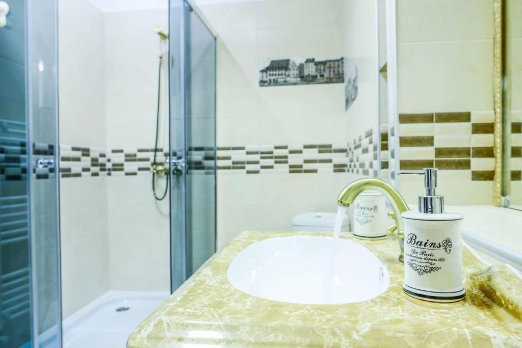 Mary Apartment Old Town ブラショフ エクステリア 写真